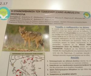 Θεσπρωτία: Συμμετοχή του Φορέα Διαχείρισης Στενών και Εκβολών ποταμών Αχέροντα και Καλαμά στο 8ο Πανελλήνιο Συνέδριο Οικολογίας