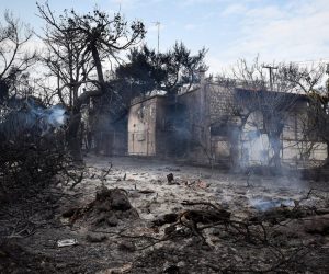 Θεσπρωτ'ία: Ενωση Αστυνομικών Υπαλλήλων Ν.Θεσπρωτίας: Έκκληση για βοήθεια σε είδη πρώτης ανάγκης στους πυρόπληκτους της Ανατολικής Αττικής