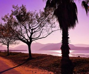 Ήγουμενίτσα: Ιδρύεται Σύλλογος Προστασίας Περιβάλλοντος Ηγουμενίτσας