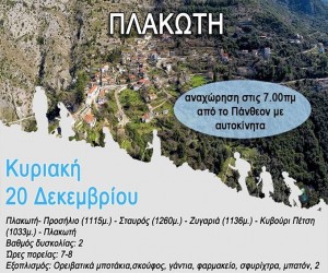 plakoti